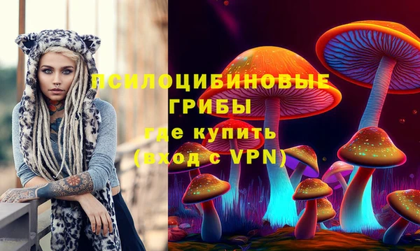 амф Абаза