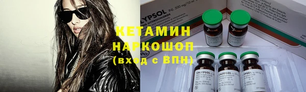 прущие грибы Нягань