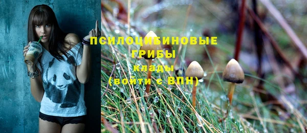 ГАЛЛЮЦИНОГЕННЫЕ ГРИБЫ Абдулино